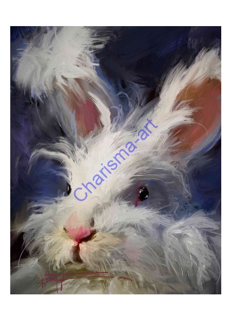 Fluffy Face Bunny Rabbit PRINTS